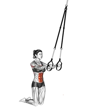 Suspension Rollout