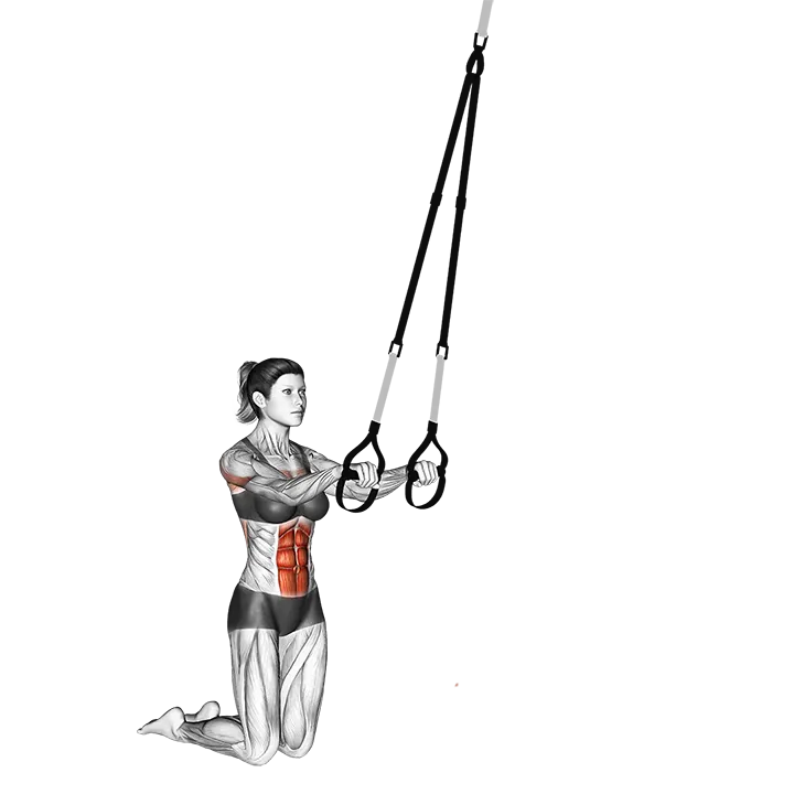 Suspension Rollout exercise animation (Female)