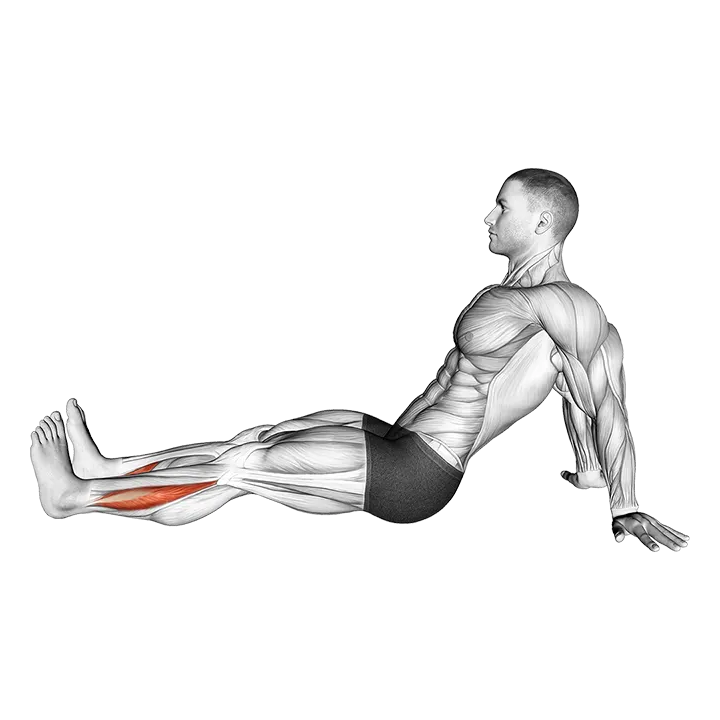 Seated Single Leg Foot Side to Side exercise animation (Male)