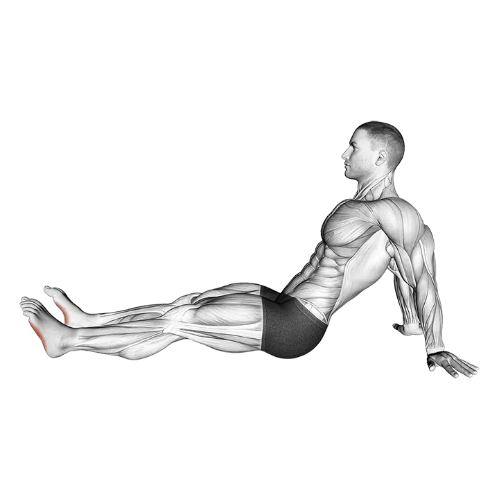Seated Squeezing Toes exercise animation (Male)