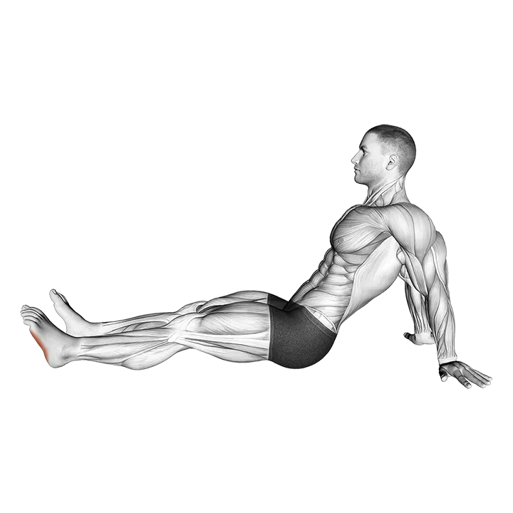 Seated Single Leg Squeezing Toes exercise animation (Male)
