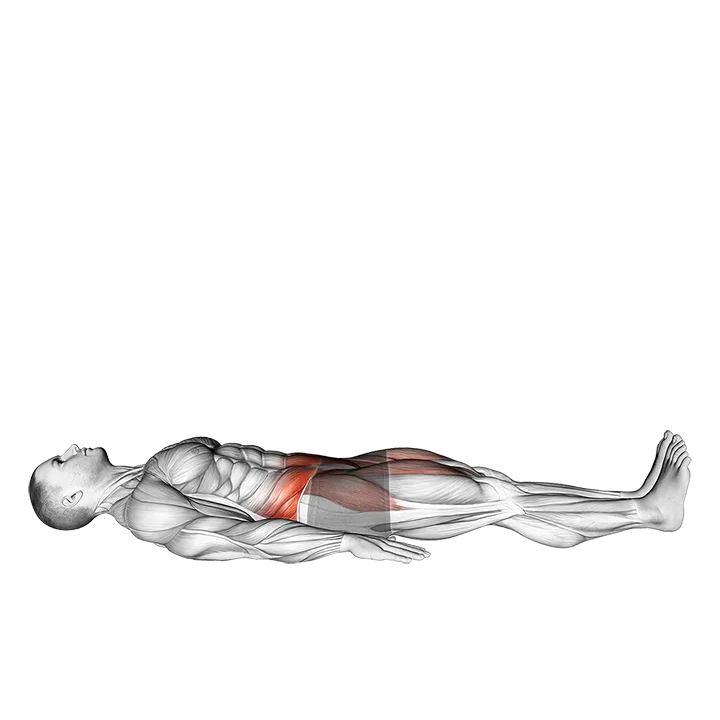 Lying Single Leg Raise exercise animation (Male)