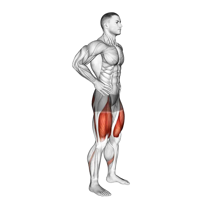 Bodyweight Quarter Squat exercise animation (Male)