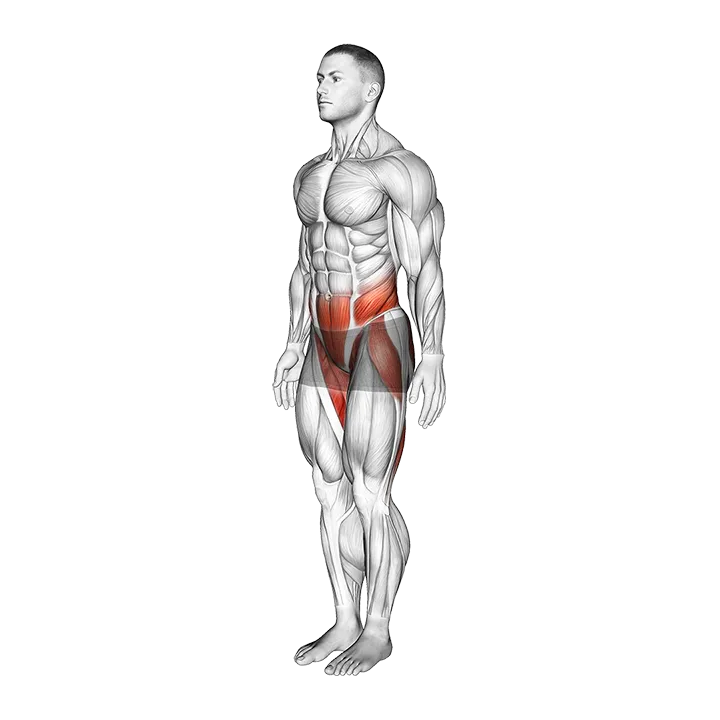 Bodyweight Single Leg Deadlift Hold exercise animation (Male)