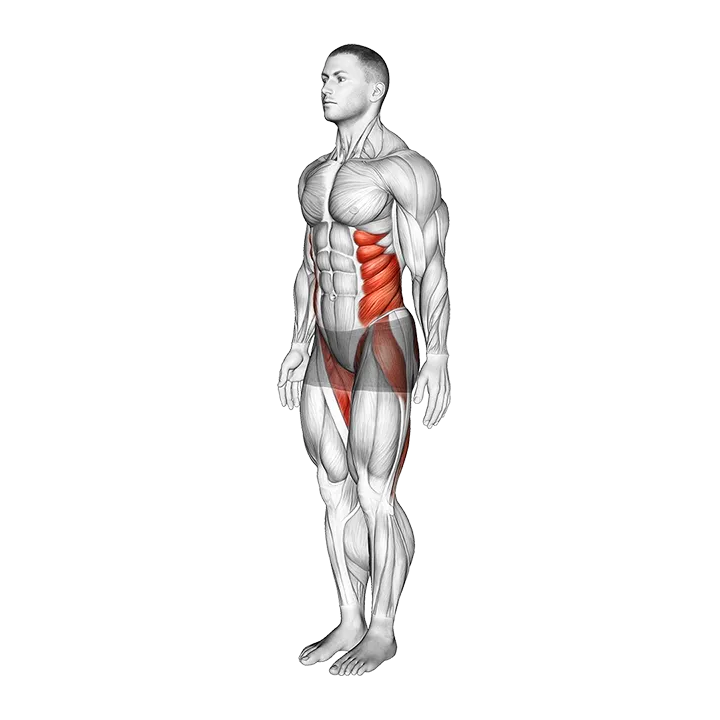 Bodyweight Single Leg Deadlift Toe Touch exercise animation (Male)