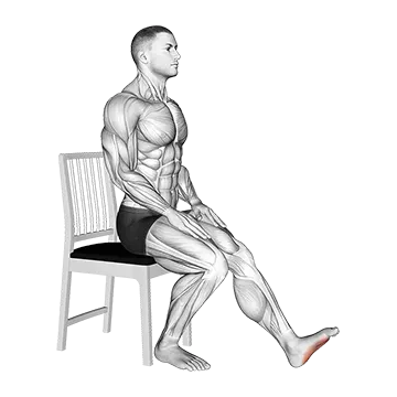 Seated Single Leg Squeezing Toes