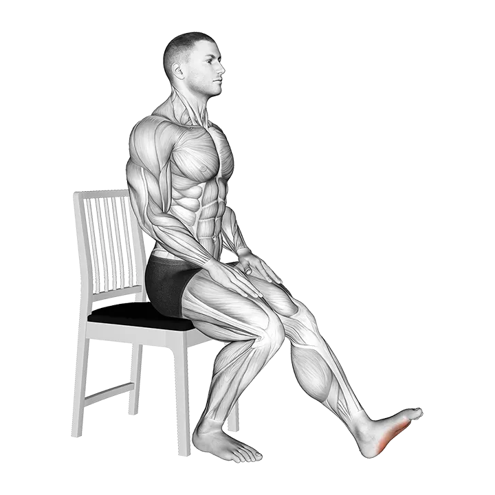 Seated Single Leg Squeezing Toes exercise animation (Male)