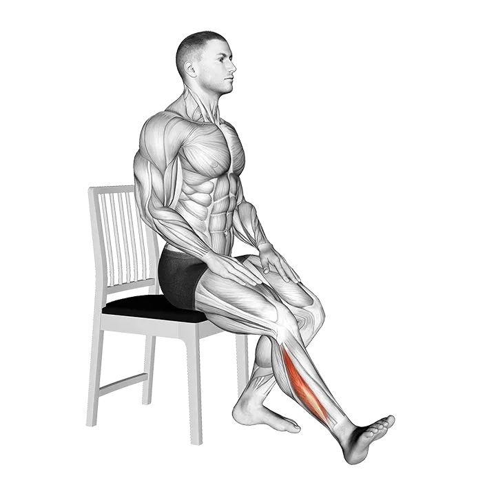 Seated Single Leg Foot Side to Side exercise animation (Male)