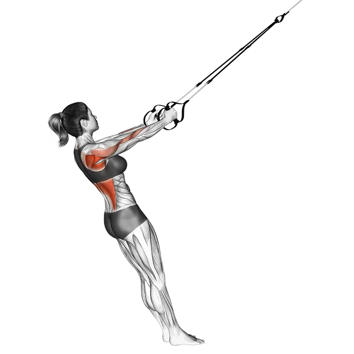 Suspension Row exercise animation (Female)