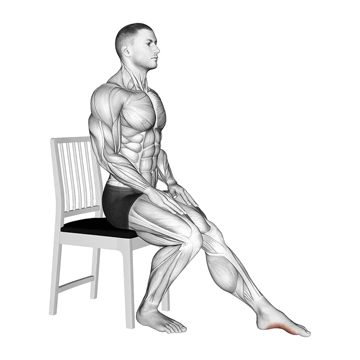 Seated Single Leg Toes Press exercise animation (Male)