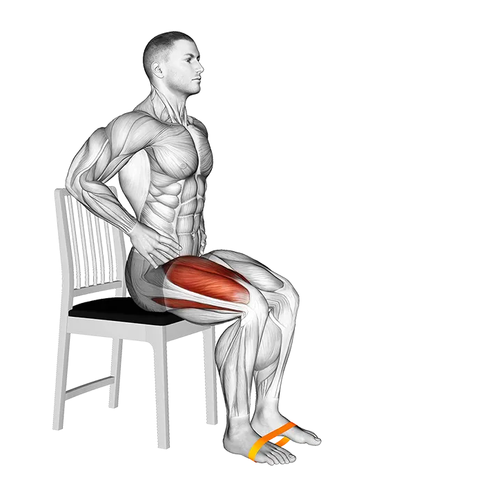 Resistance Band Seated Single Leg Knee Extension Hold exercise animation (Male)