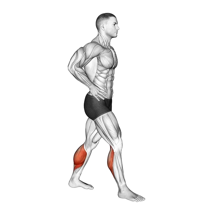Standing Back Achilles Stretch exercise animation (Male)