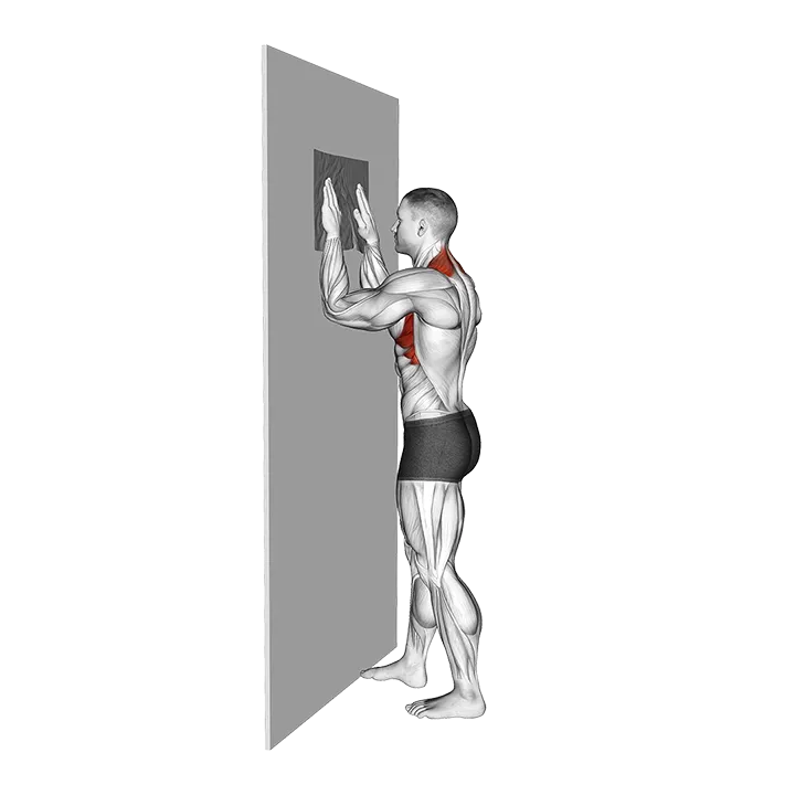 Standing Wall Serratus Slide with Towel exercise animation (Male)