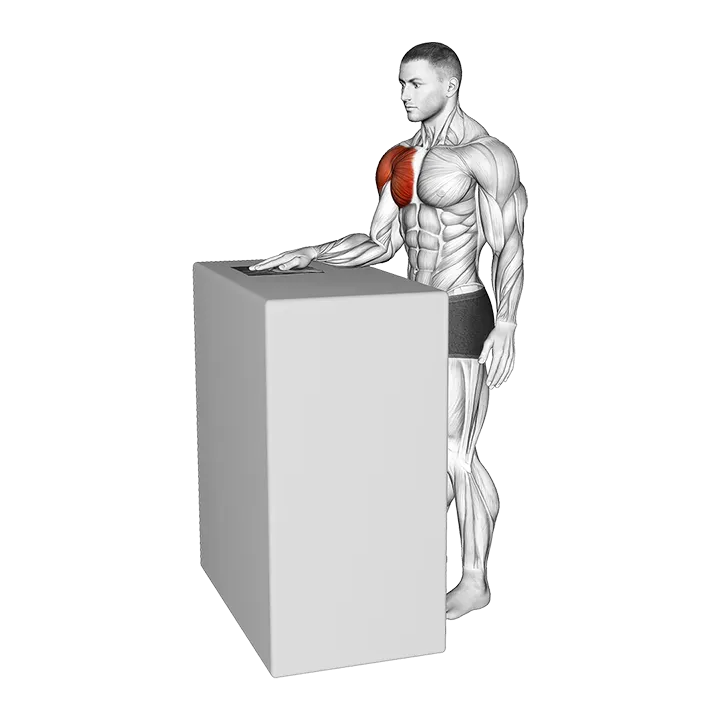 Standing Internal Rotation Slide with Towel exercise animation (Male)