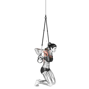 Suspension Self assisted Chest Dip