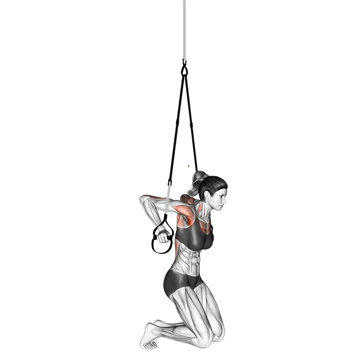 Suspension Self assisted Chest Dip exercise animation (Mujer)