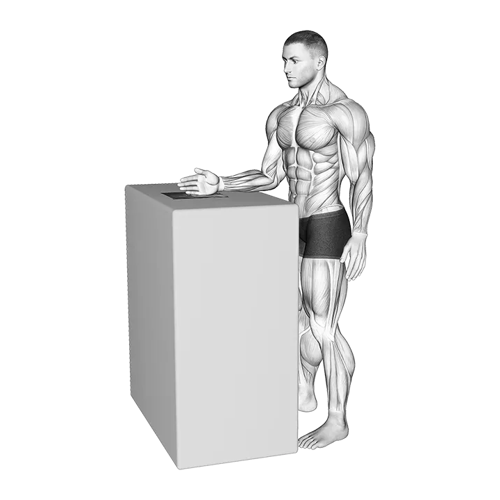 Standing External Rotation Slide with Towel exercise animation (Male)