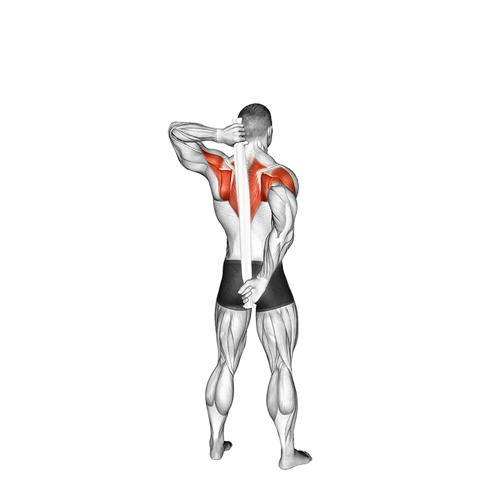 Shoulder Stretch Behind the Back with Towel exercise animation (Male)