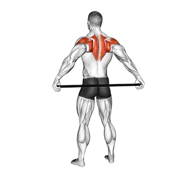 Stick Shoulder Mobilization in Abduction Behind Back