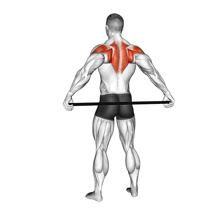 Stick Shoulder Mobilization in Abduction Behind Back exercise animation (Male)