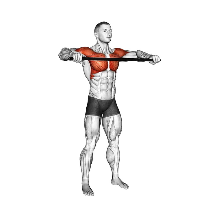 Stick Shoulder Rotation Over Head exercise animation (Male)