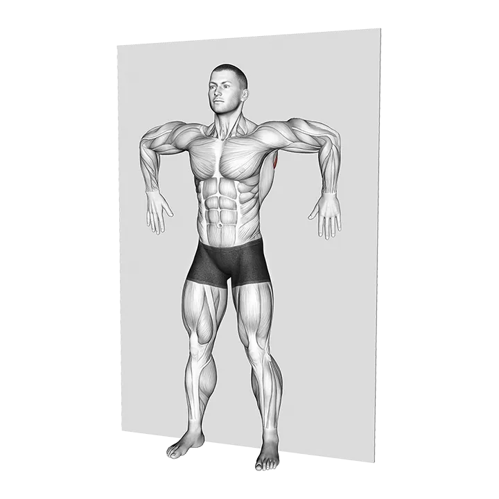 Standing Wall Shoulder Rotation exercise animation (Male)
