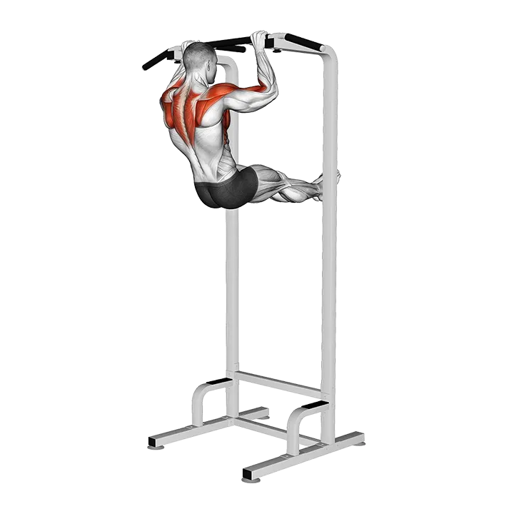 Scapular Pull-up Swing exercise animation (Male)