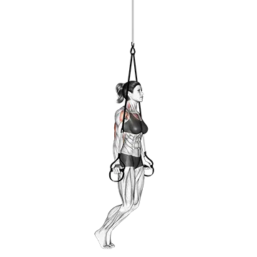 Suspension Self assisted Triceps Dip