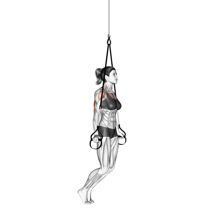 Suspension Self assisted Triceps Dip exercise animation (Weiblich)
