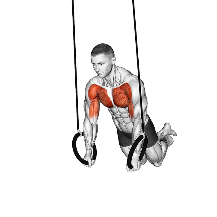 Ring Long Arms Push-up Hold exercise animation (Male)