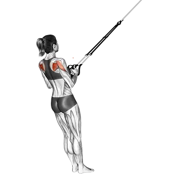 Suspension Shoulder External Rotation