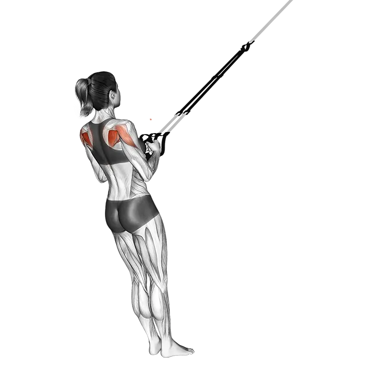 Suspension Shoulder External Rotation exercise animation (Female)