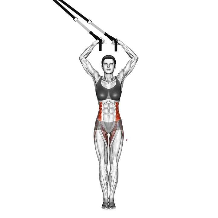Suspension Side Bend exercise animation (Female)