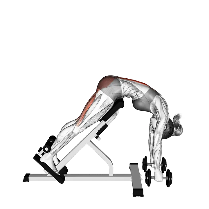 Dumbbell Hyperextension (VERSION 2) exercise animation (Female)