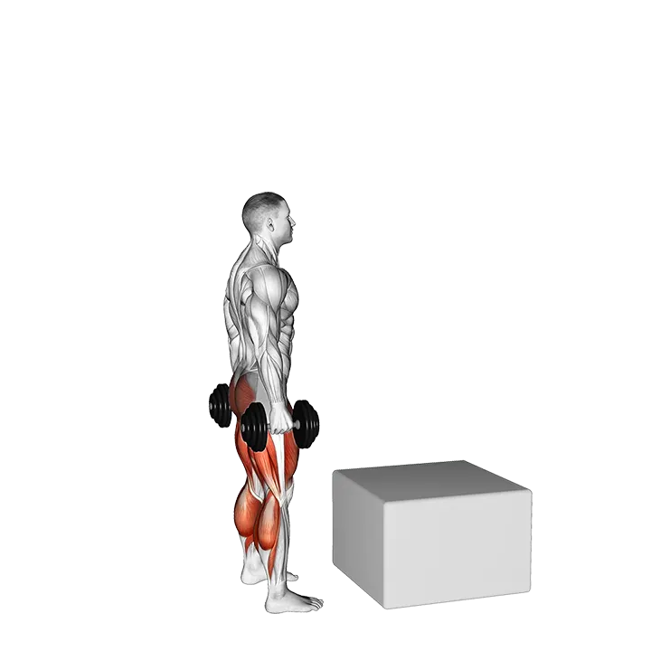 Dumbbell Jump Box exercise animation (Male)