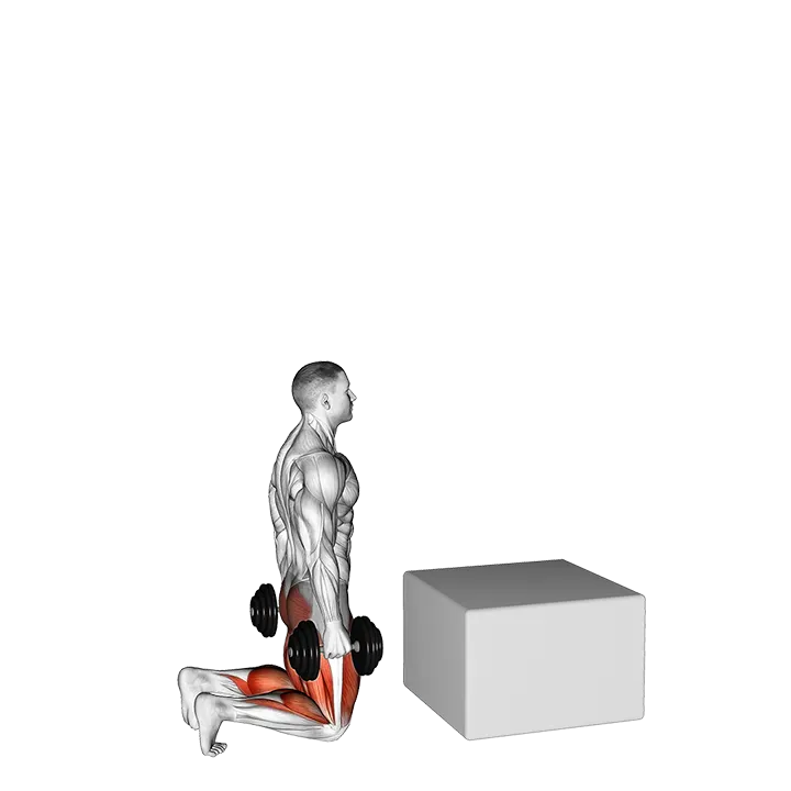 Dumbbell Kneeling to Jump Box exercise animation (Male)