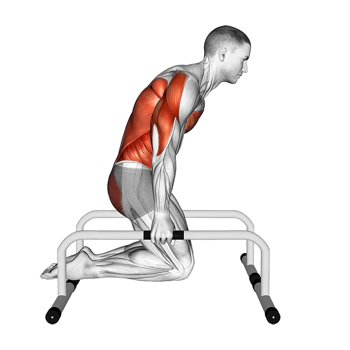 Tuck Planche on Parallette exercise animation (Male)