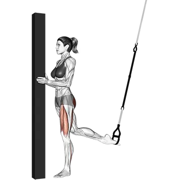 Suspension Single Leg Split Squat (self assisted)