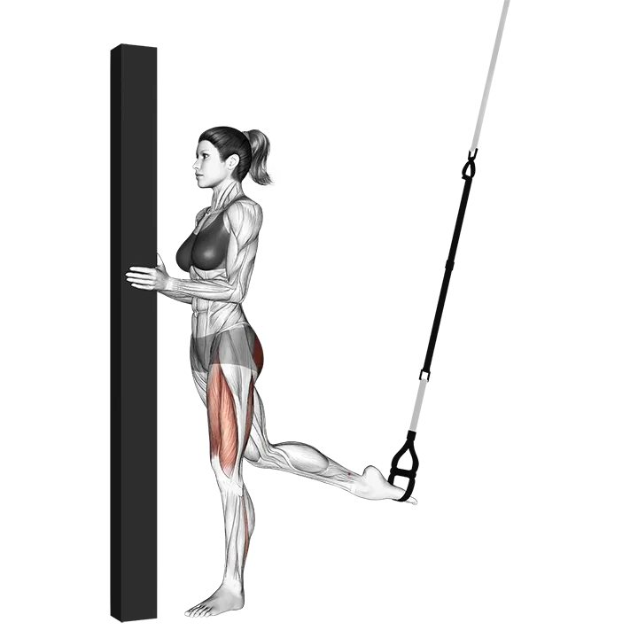 Suspension Single Leg Split Squat (self assisted) exercise animation (Weiblich)