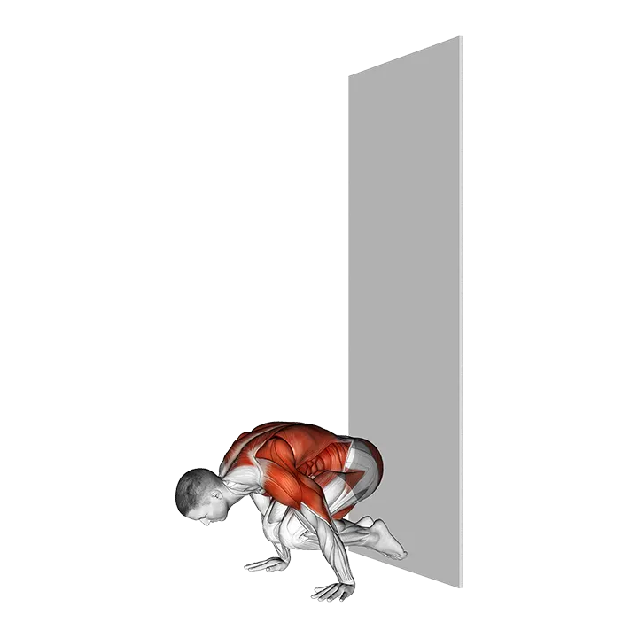 Wall Assisted Handstand to Tuck Planche Negative exercise animation (Male)