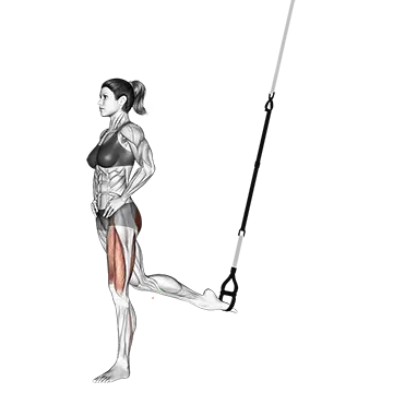 Suspension Single Leg Split Squat