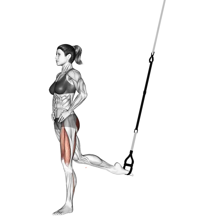 Suspension Single Leg Split Squat exercise animation (Female)
