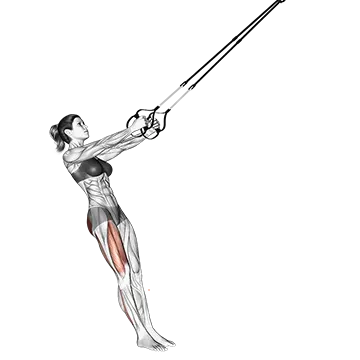 Suspension Single Leg Squat