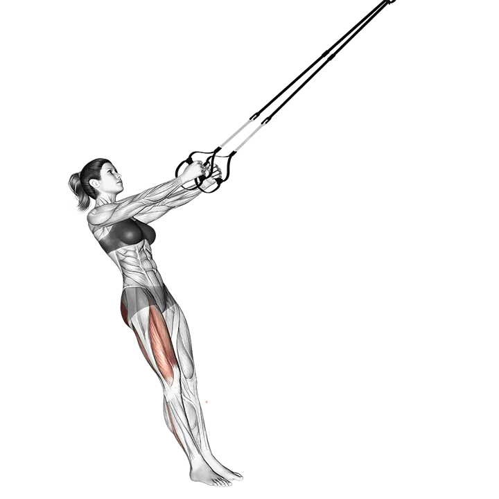 Suspension Single Leg Squat exercise animation (Female)