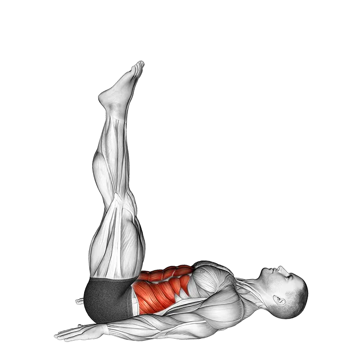 Hip Lift - Low Back Off Floor exercise animation (Male)