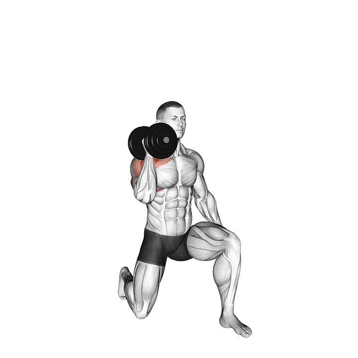 Dumbbell Half Kneeling Single Arm Shoulder Press exercise animation (Male)
