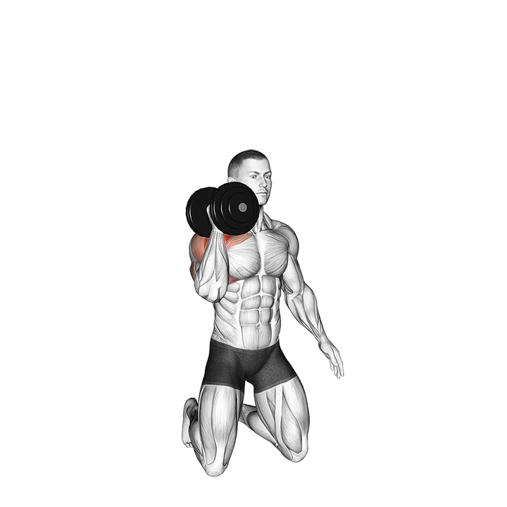 Dumbbell Kneeling Single Arm Shoulder Press exercise animation (Male)