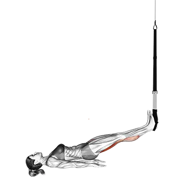 Suspension Straight Hip Leg Curl
