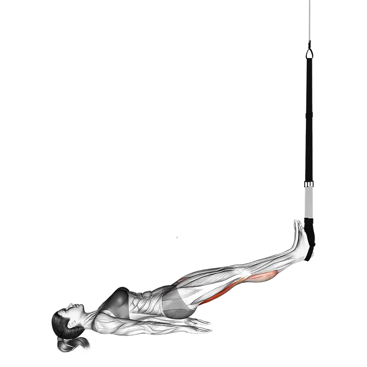 Suspension Straight Hip Leg Curl exercise animation (Mujer)