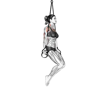 Suspension Triceps Dip